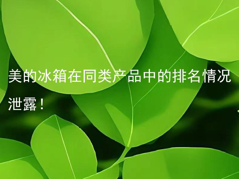 美的冰箱在同类产品中的排名情况泄露！ 美的冰箱在同类产品中的排名情况让消费者如何选择？