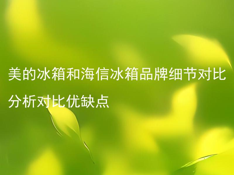 美的冰箱和海信冰箱品牌细节对比分析对比优缺点 美的冰箱和海信冰箱品牌细节对比分析，它们的优缺点有哪些？
