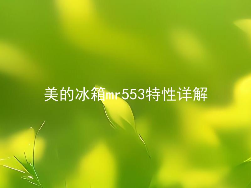 美的冰箱mr553特性详解