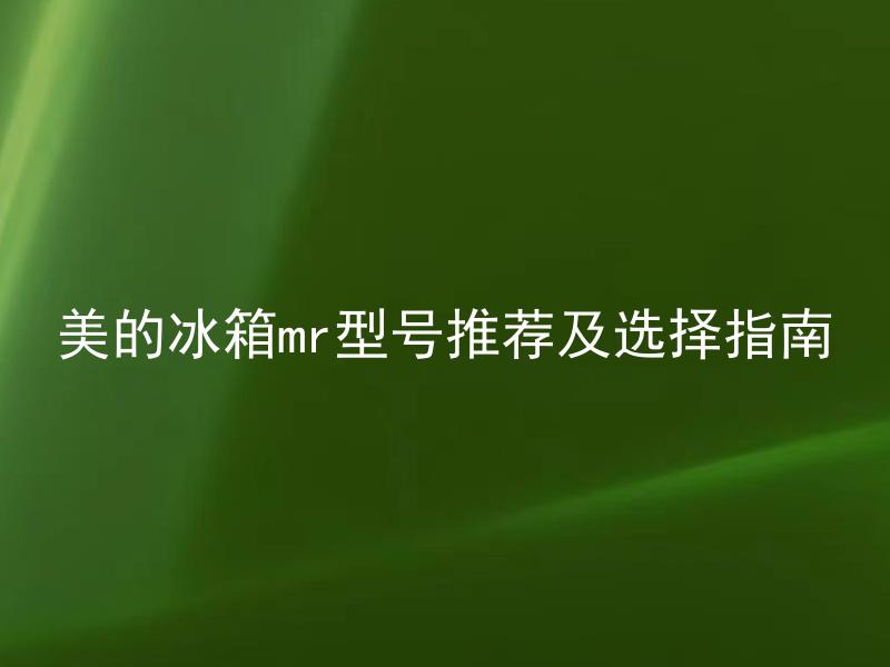 美的冰箱mr型号推荐及选择指南