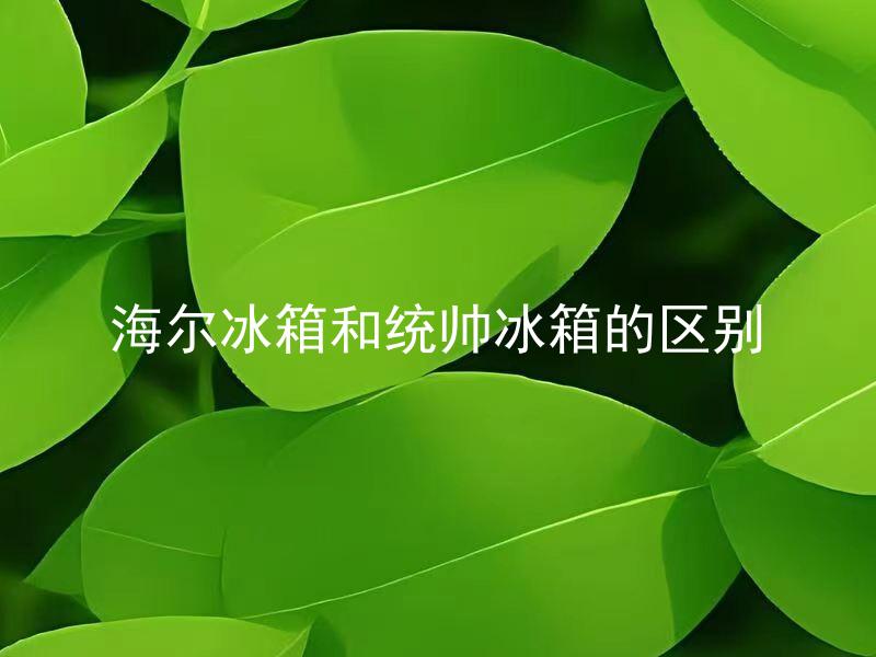 海尔冰箱和统帅冰箱的区别