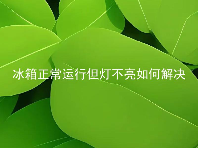 冰箱正常运行但灯不亮如何解决 冰箱正常运行但灯不亮如何解决？为什么冰箱正常运行的灯却不亮？