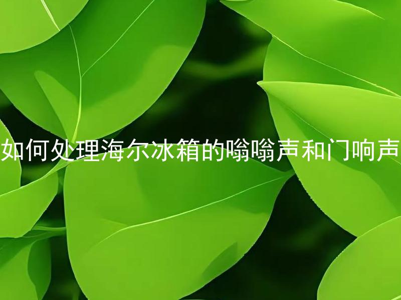 如何处理海尔冰箱的嗡嗡声和门响声 海尔冰箱嗡嗡声和门响声是如何处理的？