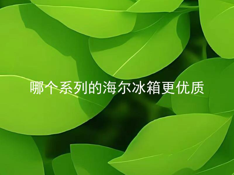 哪个系列的海尔冰箱更优质 哪个系列的海尔冰箱更适合长时间储存食物？