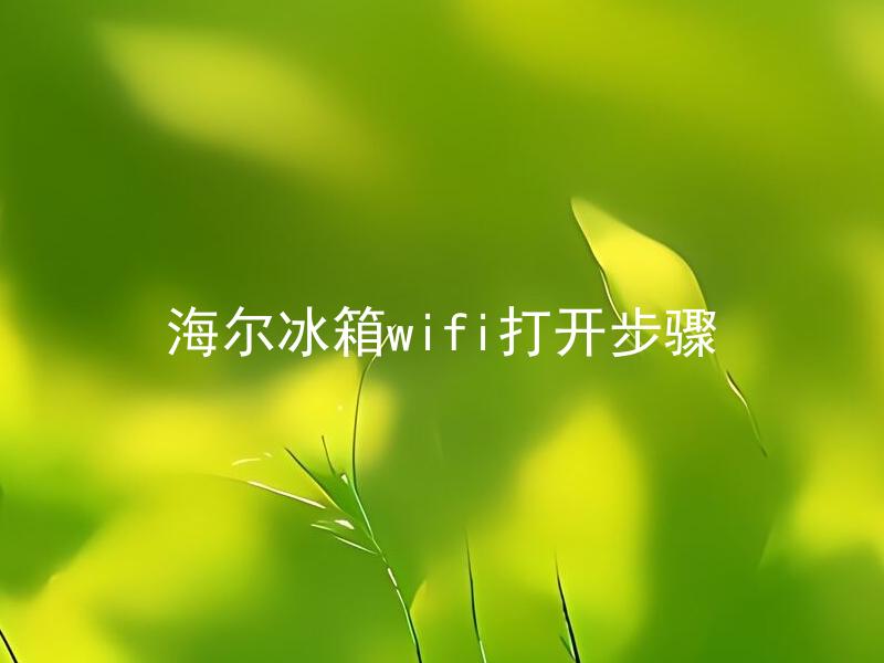 海尔冰箱wifi打开步骤 拓展后的标题：海尔冰箱wifi适用于哪种网络环境？
