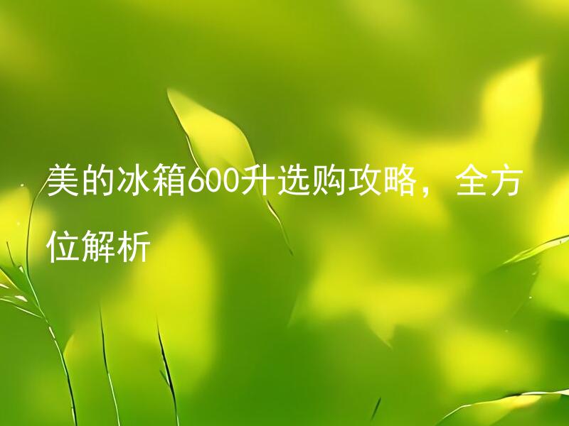 美的冰箱600升选购攻略，全方位解析