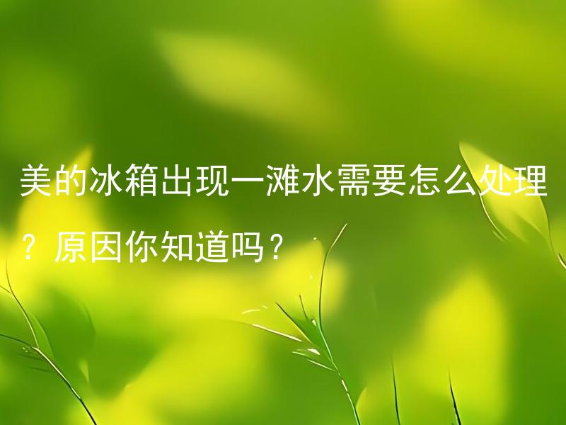 美的冰箱出现一滩水需要怎么处理？原因你知道吗？ 美的冰箱出现一滩水需要怎么处理？可能的原因有哪些？