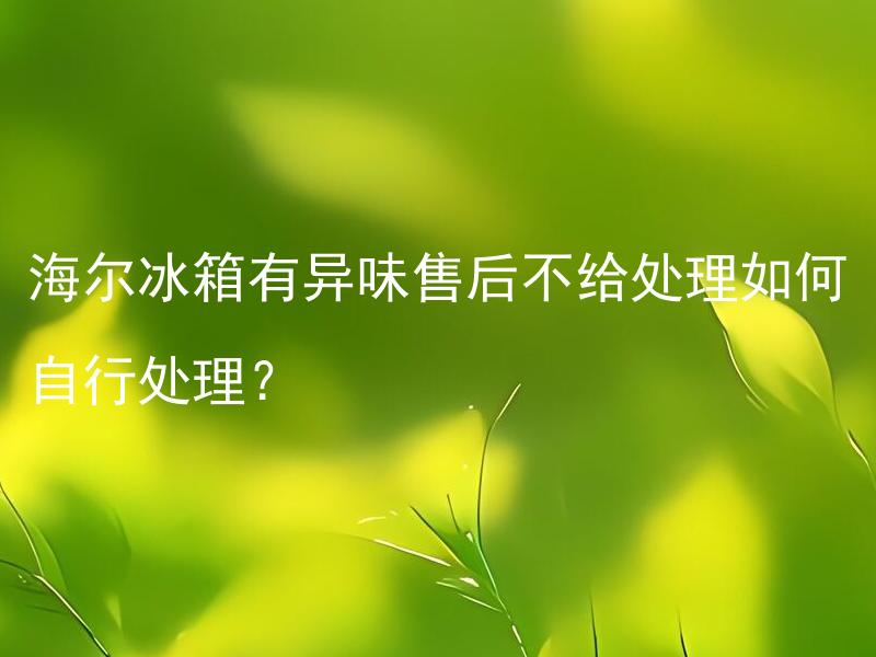 海尔冰箱有异味售后不给处理如何自行处理？