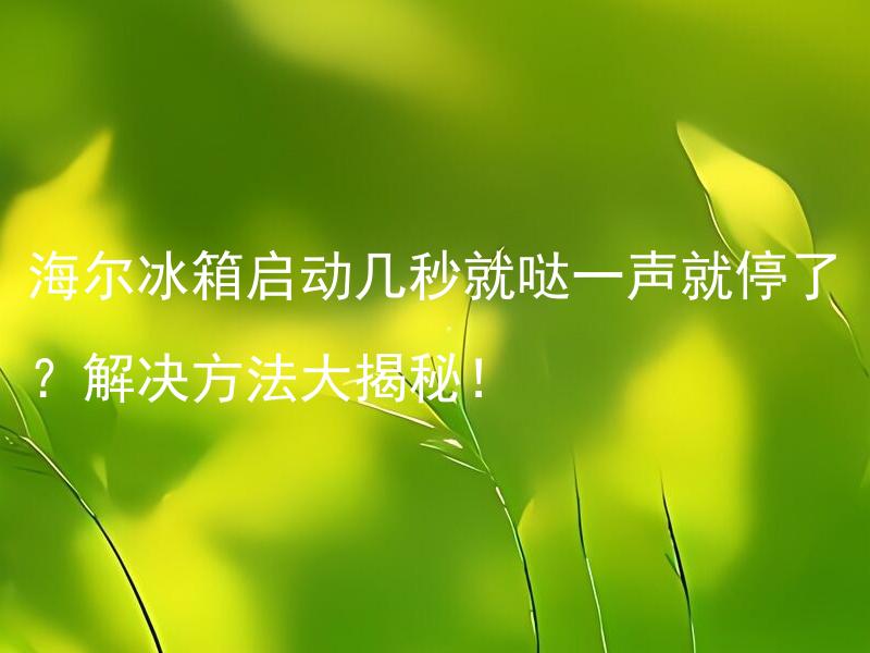 海尔冰箱启动几秒就哒一声就停了？解决方法大揭秘！ 海尔冰箱启动几秒就哒一声就停了？是什么原因导致的呢？