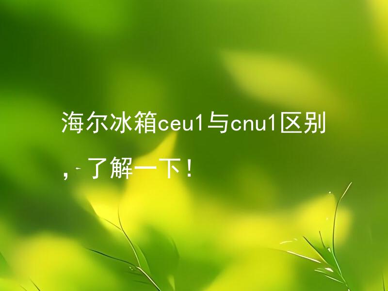 海尔冰箱ceu1与cnu1区别，了解一下！