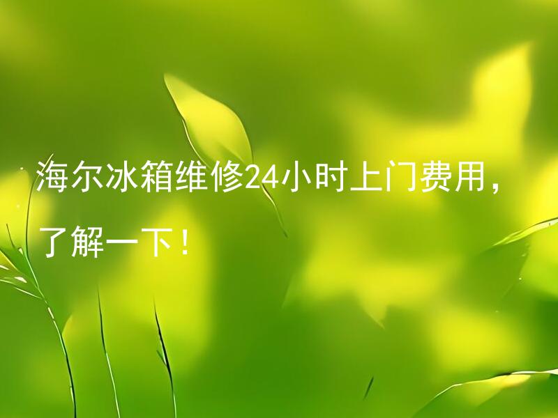海尔冰箱维修24小时上门费用，了解一下！ 海尔冰箱维修24小时上门费用是多少？
