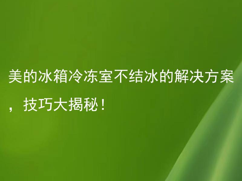 美的冰箱冷冻室不结冰的解决方案，技巧大揭秘！