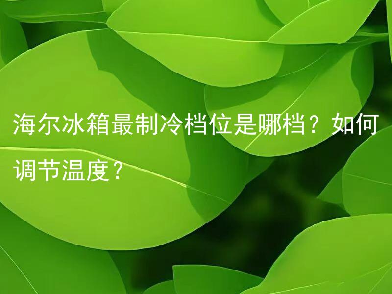 海尔冰箱最制冷档位是哪档？如何调节温度？ 海尔冰箱最制冷档位是哪档？如何调节温度？
如何根据食材种类调节海尔冰箱温度？