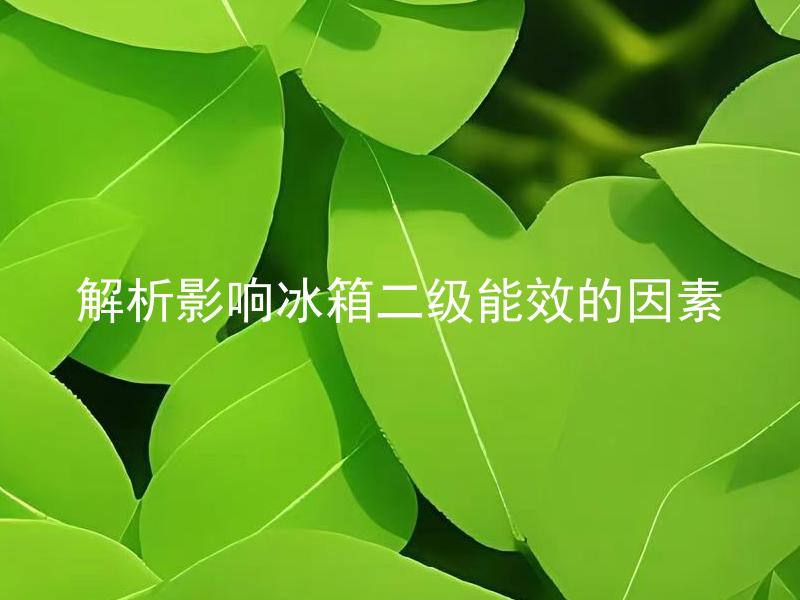 解析影响冰箱二级能效的因素 什么因素会影响冰箱的二级能效水平？