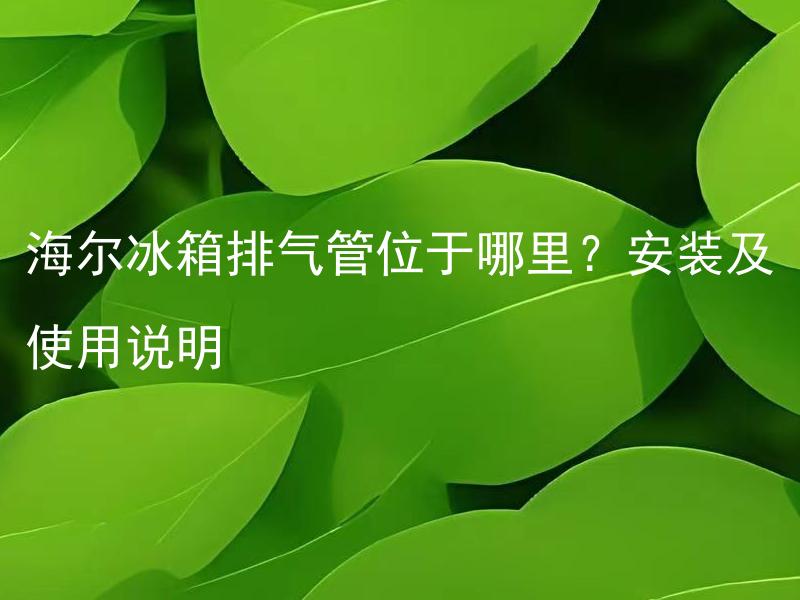 海尔冰箱排气管位于哪里？安装及使用说明 海尔冰箱排气管位于冰箱内部哪个位置？安装及使用说明