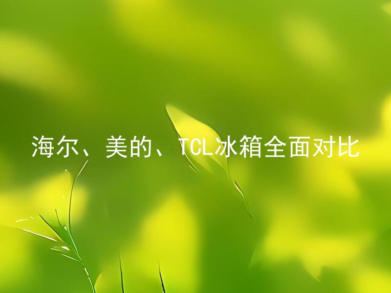 海尔、美的、TCL冰箱全面对比